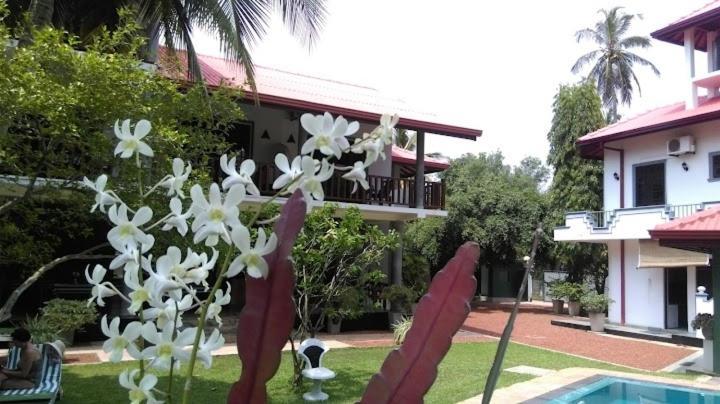 Canal Villa Bentota Dış mekan fotoğraf
